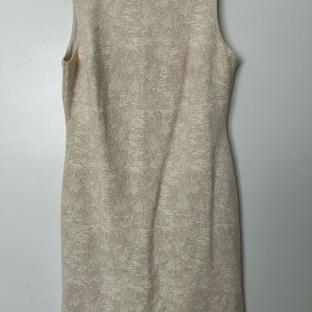 Taylor Sleeveless Dress, size 12